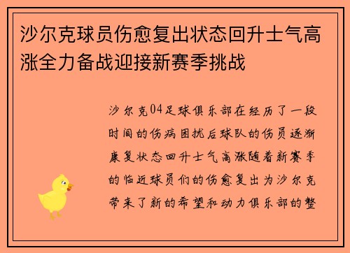 沙尔克球员伤愈复出状态回升士气高涨全力备战迎接新赛季挑战