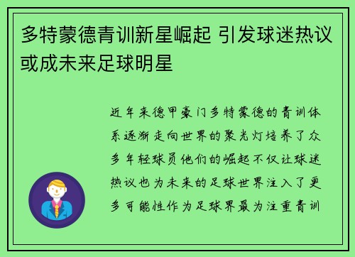 多特蒙德青训新星崛起 引发球迷热议或成未来足球明星